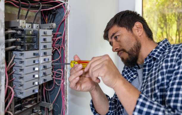 Best Generator Installation Services  in Richton Park, IL